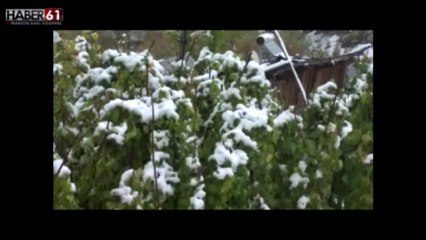 karadeniz kar yağışı