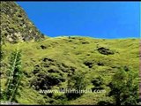 Hills and Valleys at West Kameng, Arunachal
