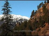 Chopper flying over the hills of Uttarakhand