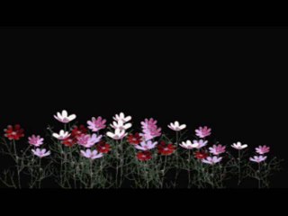 RÜYA ÇAĞLA--mavi mavi