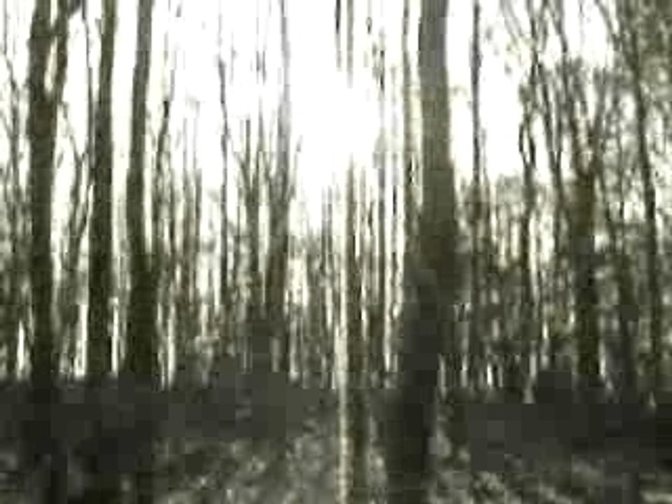 Boards Of Canada - In A Beautiful Place