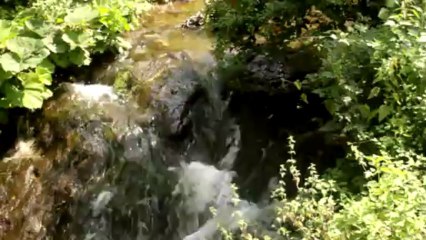 Stream 2 - Free HD stock footage