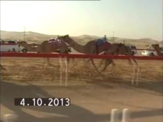 شارة الديوان للقايا بتاريخ 4/10 الشوط التاسع الشامخه حمد ناصر على النعيمى 6:26