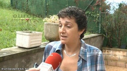 Un nido de avispas asiáticas en un barrio de Irún