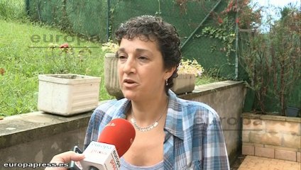 Vecinos Irún conviven con un millar de avispas