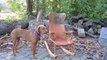 Woodworker Builds Rocking Chair With No Power tools!!