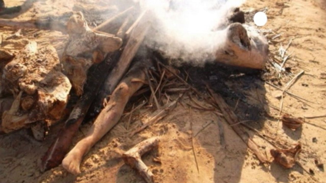 Europeans burnt to death in Madagascar over organ...