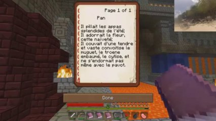 Outside - Minecraft sur ile deserte