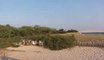 Point du Cap Ferret et dune du Pyla