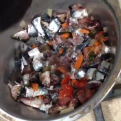 AREBAAL LEONBERGER KENNEL. Hoy de cena toca pescadito (sardinitas y caballa)