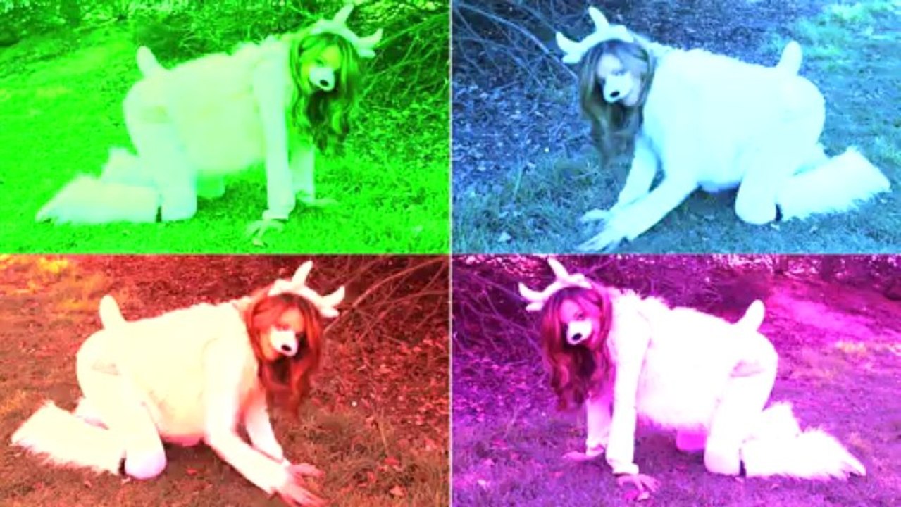 Where Is My Goat? - Official Music Video