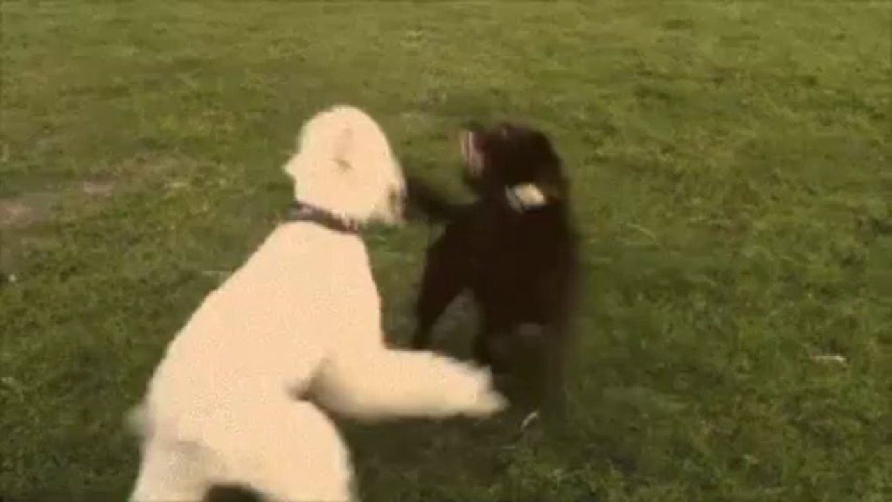 Caya & Albert
