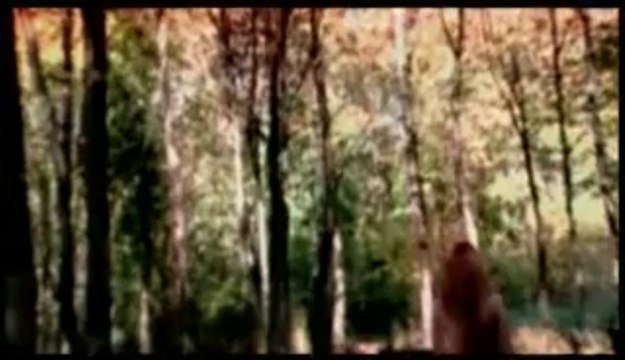 Aşkın Nur Yengi - Yalancı Bahar