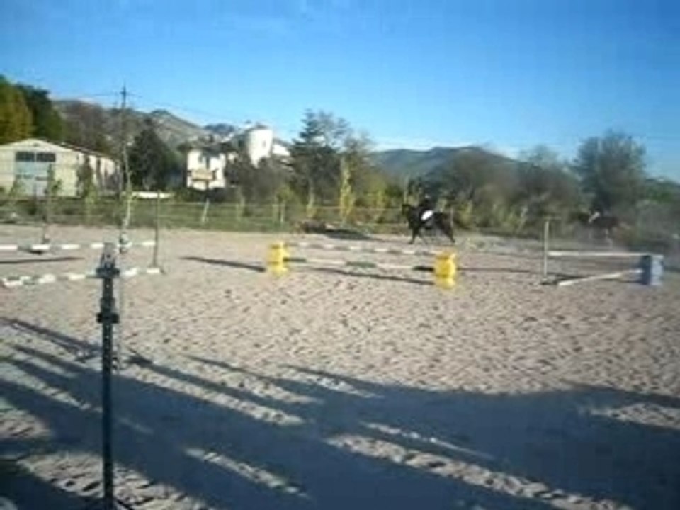 CCe 2006