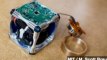 MIT Scientists Create Self-Assembling Robotic Cubes