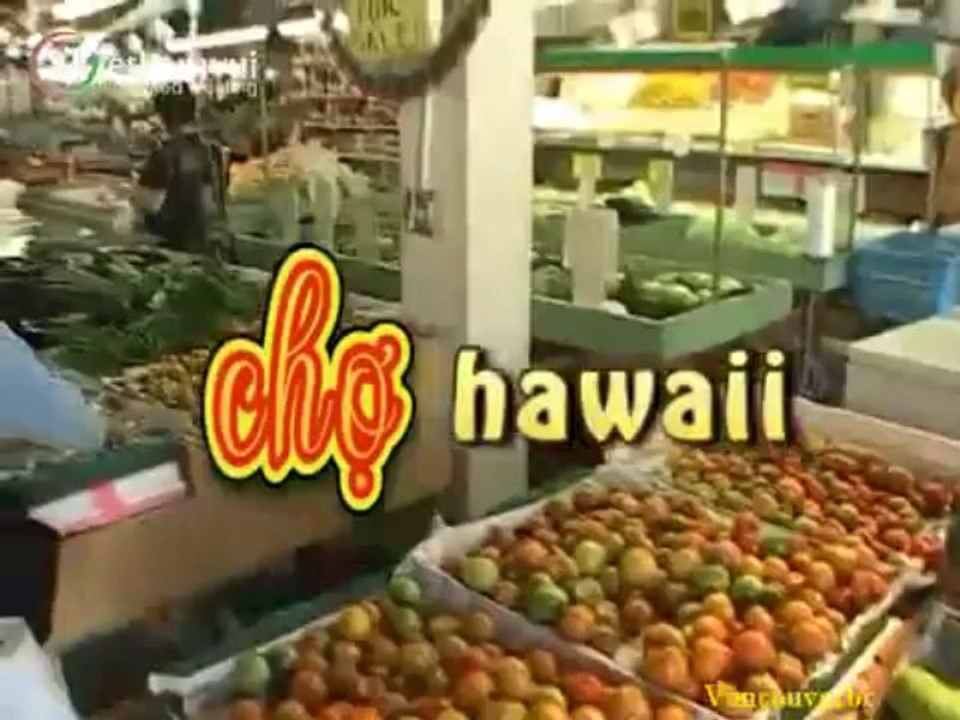 DU LICH HOA KY2