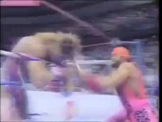 ultimate warrior loses title