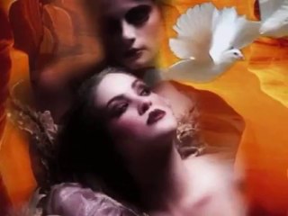 Amigos - Ohne Dich bin ich verloren