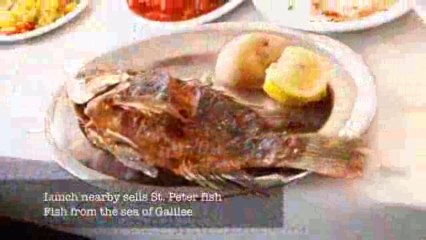 A Pilgrimage tour in Holy Land