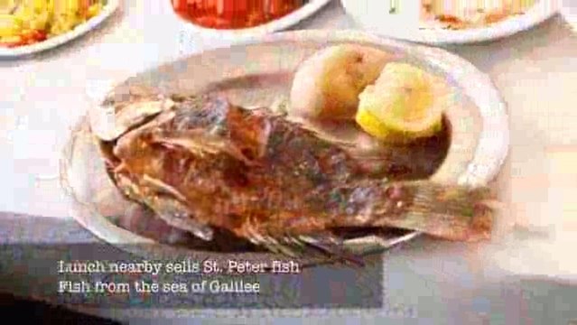 A Pilgrimage tour in Holy Land