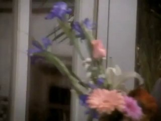 El Precio de tu Amor (The Price of your Love) English Trailer