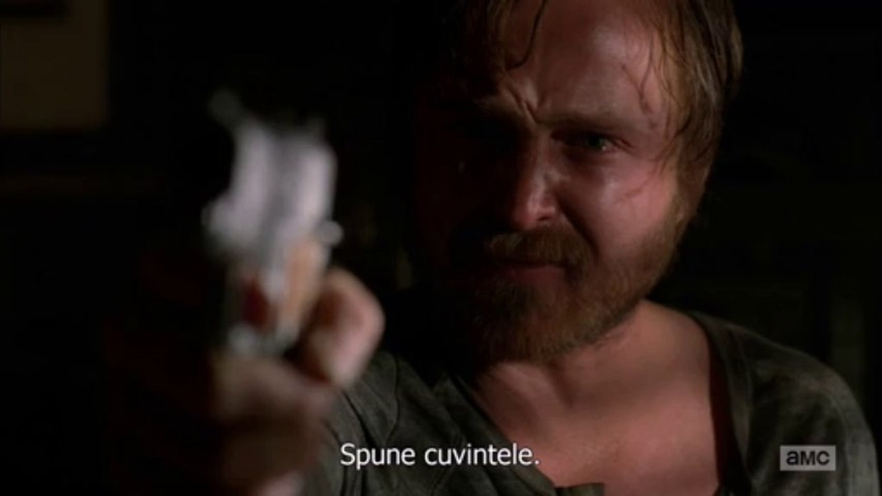 Breaking Bad Felina - "Say YOU Want This!" - Full HD