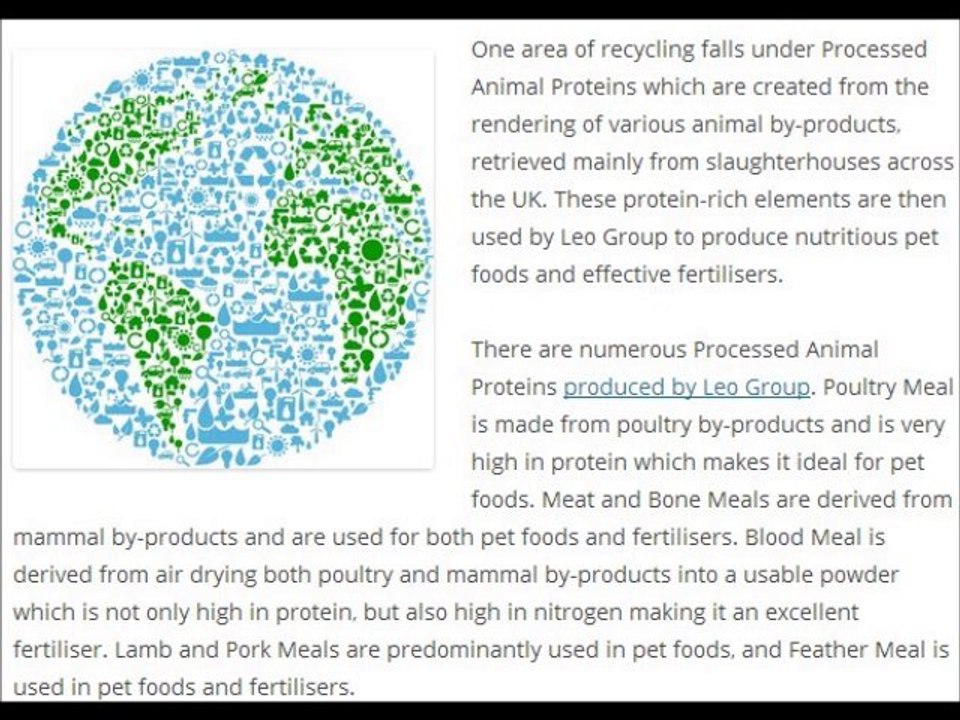 Leo Group Transforms Waste into Valuable Products