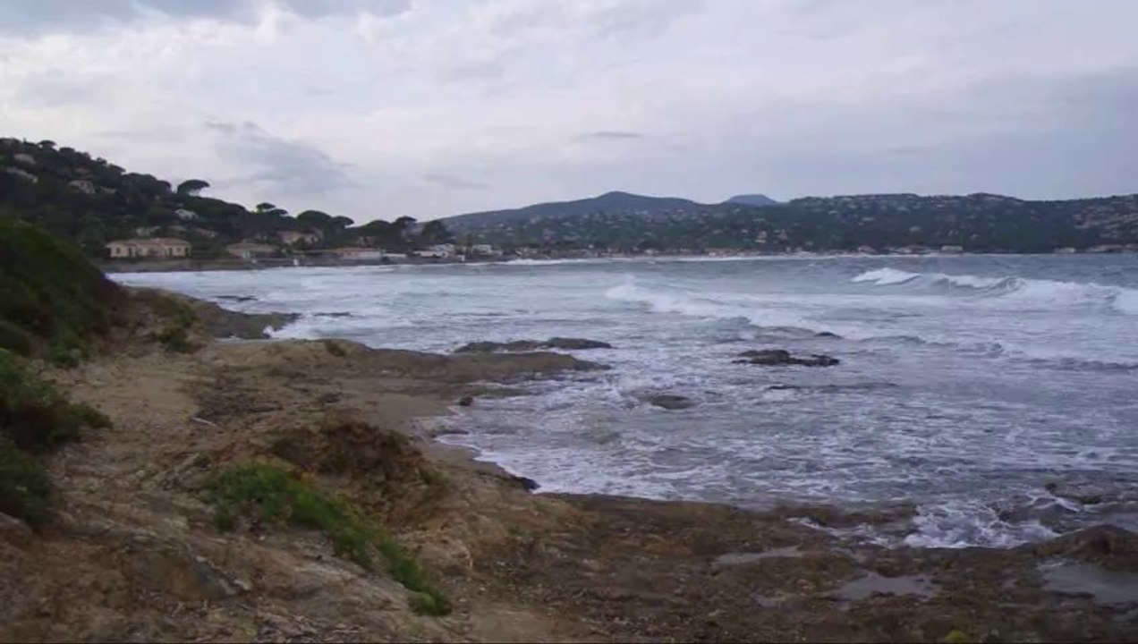 sardineaux2