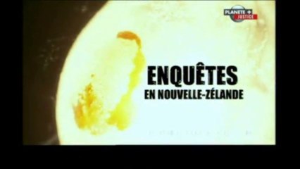 Enquêtes en Nouvelle-Zélande [ Savoir écouter ]