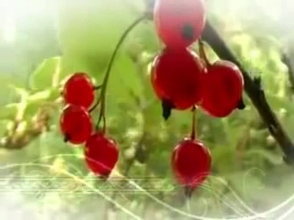 SAKA TÜRKLERİ-YAKUTİSTAN