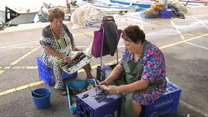Série de micro-séismes en Espagne