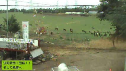 2013-09-11 13-58　オサマミちゃん、しず姉、ガガちゃん、いちごちゃん