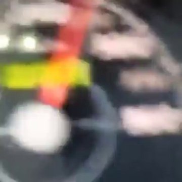 Çılgın Melo! Bu kez öyle bir şey yaptı ki... 300 km!