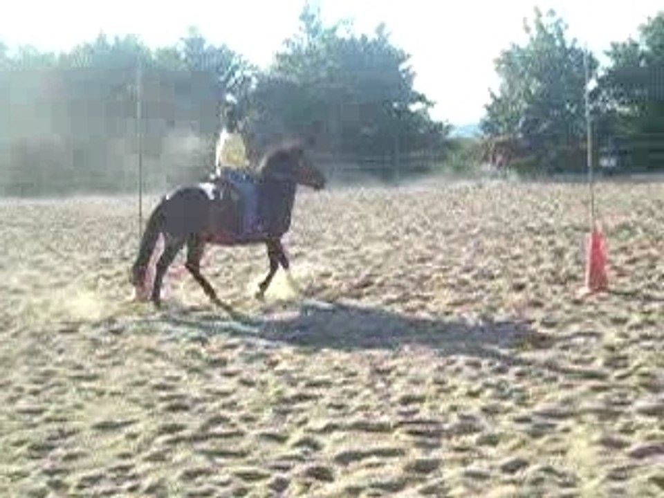 1er concours pole bending