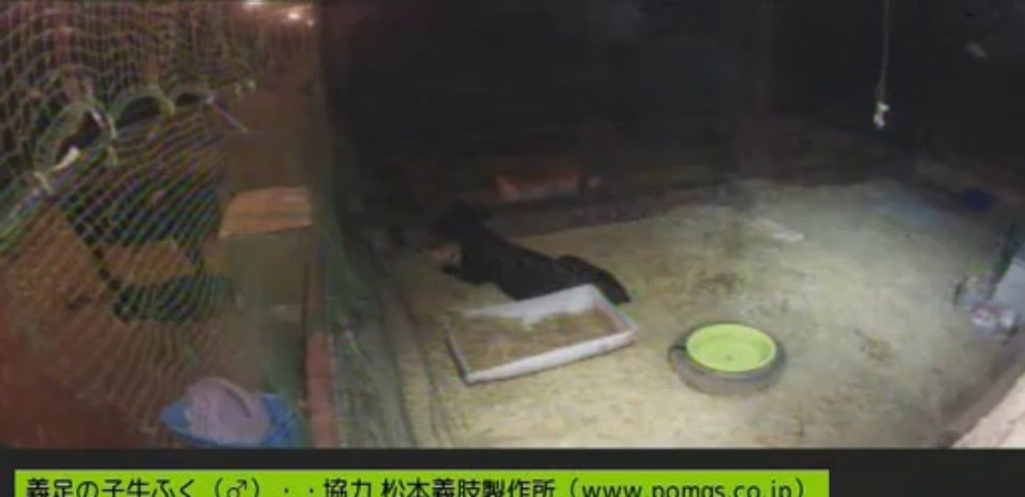 20130913　男性ボラさん