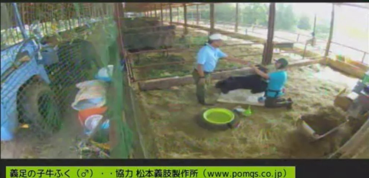 20130914　男性ボラさん、女性ボラさん治療中