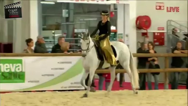 Élevage la Belle Errance – Equid Espaces 2013 – La passion du Cheval à La Roche sur Foron