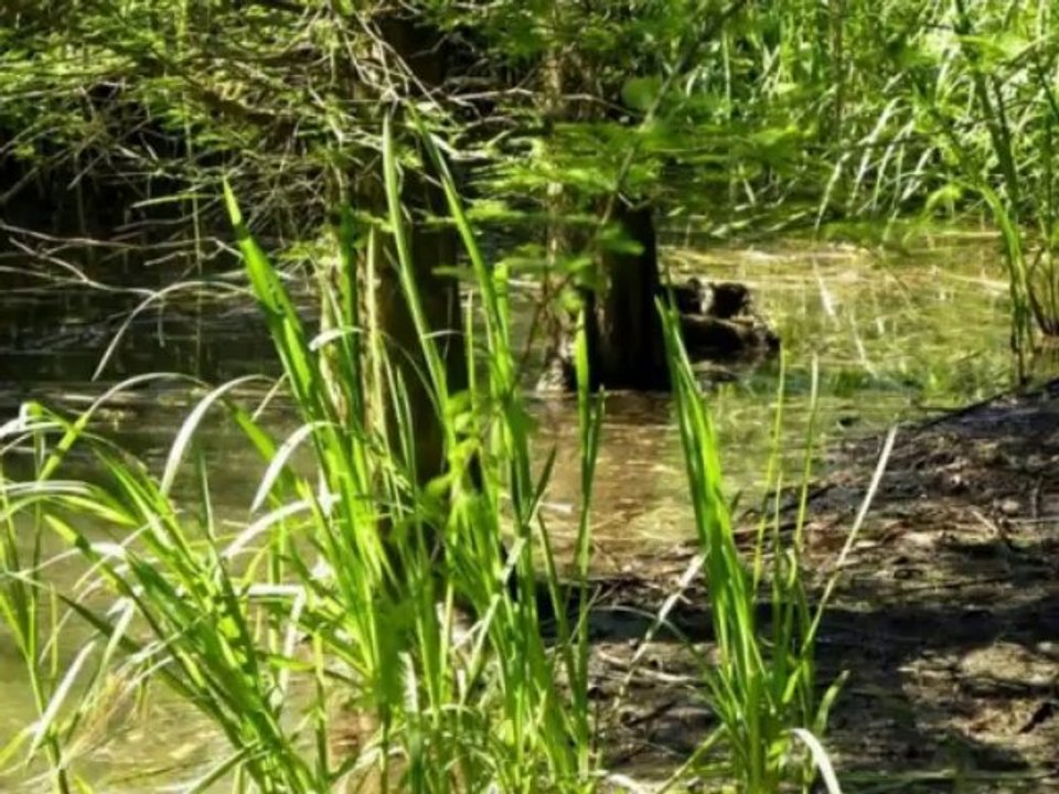 "J'arrive" Jacques Brel