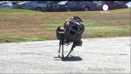 Wildcat, un nouveau robot à quatre pattes