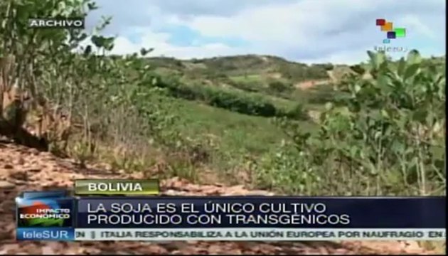 Bolivia rechaza los cultivos de semillas transgénicos