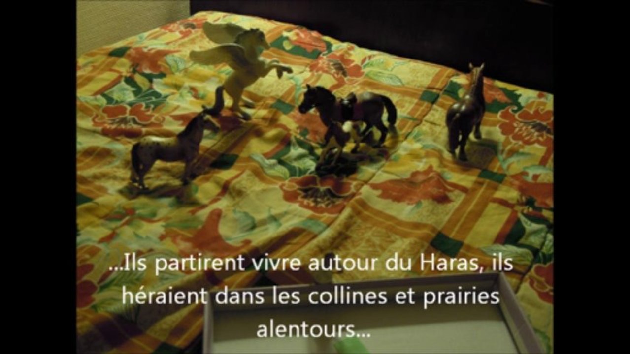 Films de chevaux pour enfants