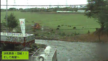 2013-09-16 15-32　ガガちゃん