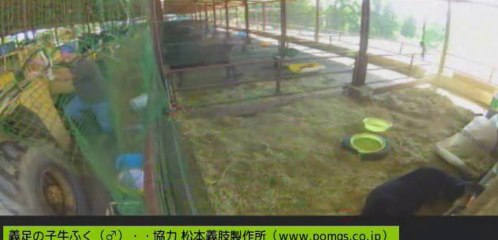 20130917　いちごちゃん　ようこちゃん？