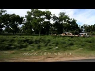 Assam countryside enroute Arunachal border town of Kimin