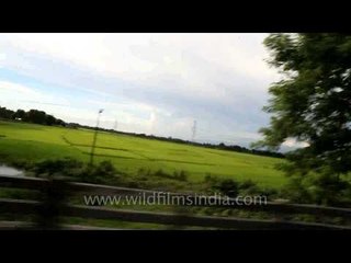 On the way to Assam- Arunachal border: Bihpuria countryside