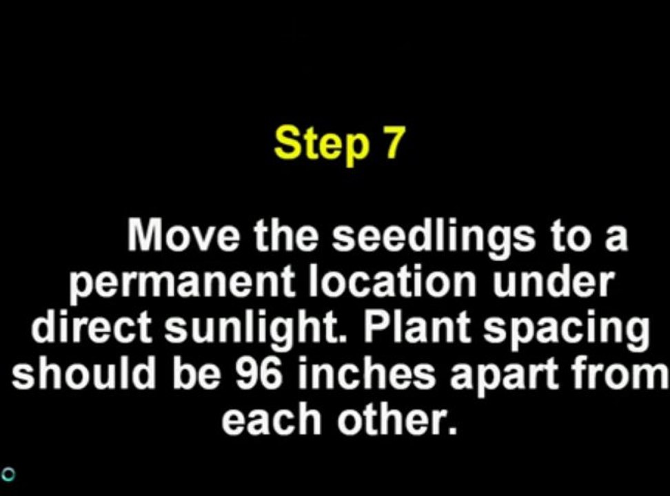 The Complete Grape Growing System 
