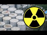 Fukushima radiation leak level reaches new high, fish affected
