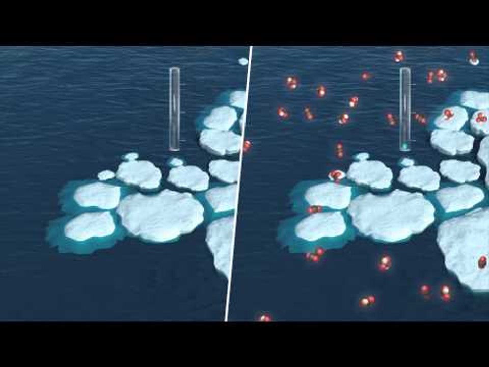 Arctic acidification threatens fish stocks and environment