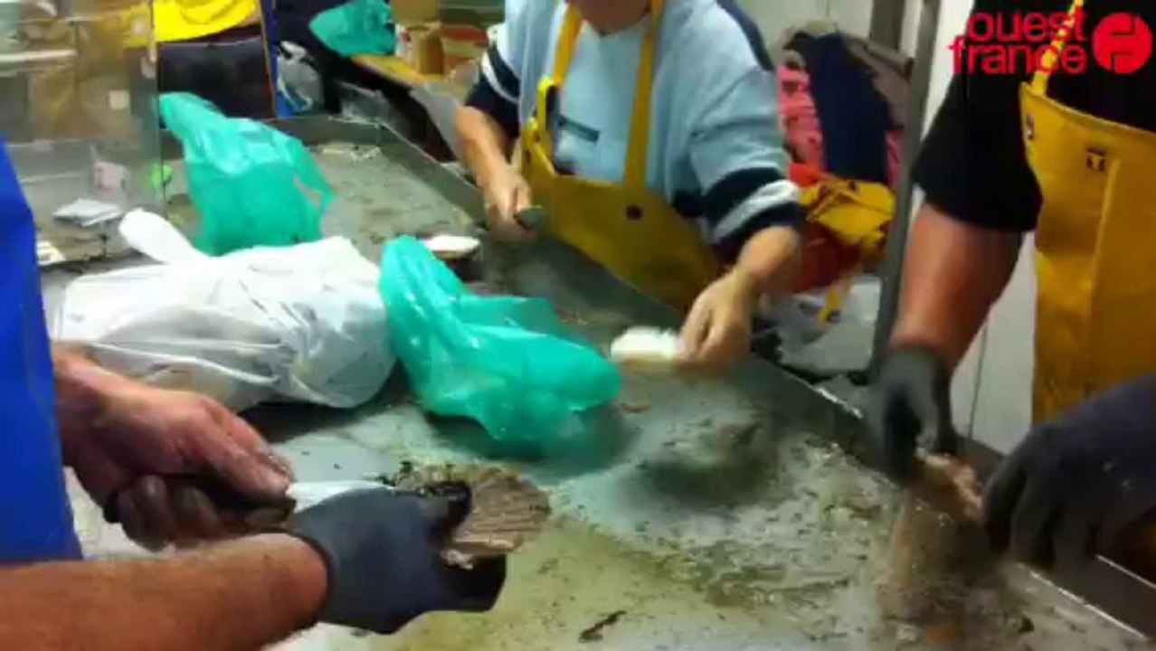 Toute la mer sur un plateau - La foule samedi