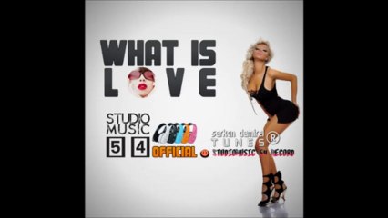 Haddaway - What is Love (2013) (Vitalik Vitamin Remix)